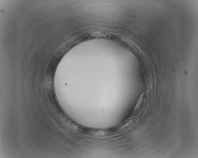 X0000060770513200512082037