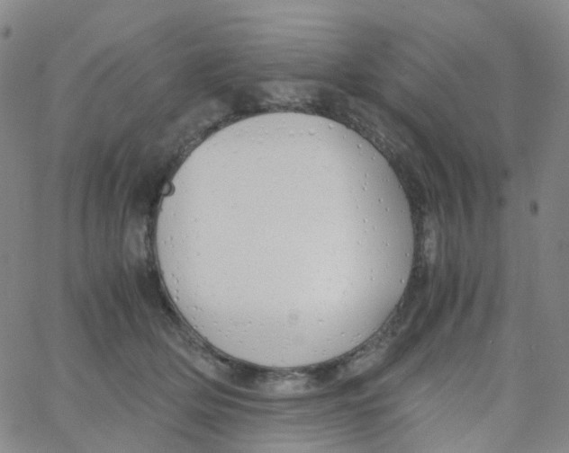 X0000060770514200512082037