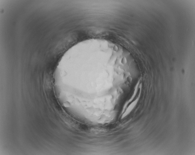 X0000060770515200512082037