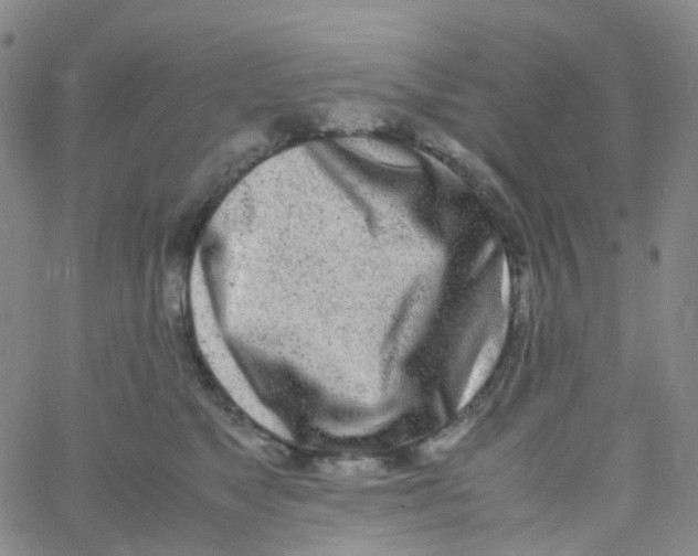 X0000060770517200512082037