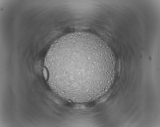 X0000060770519200512082037