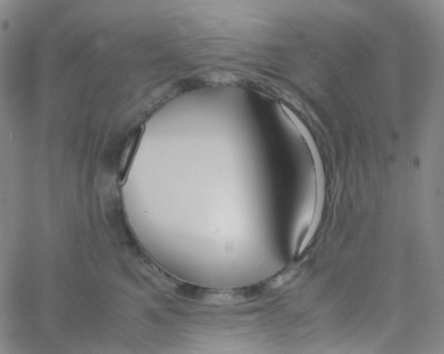 X0000060770521200512082037