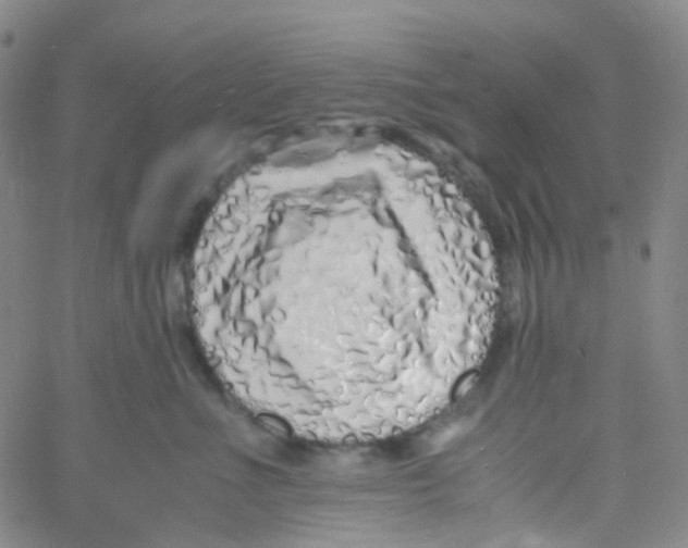 X0000060770523200512082037