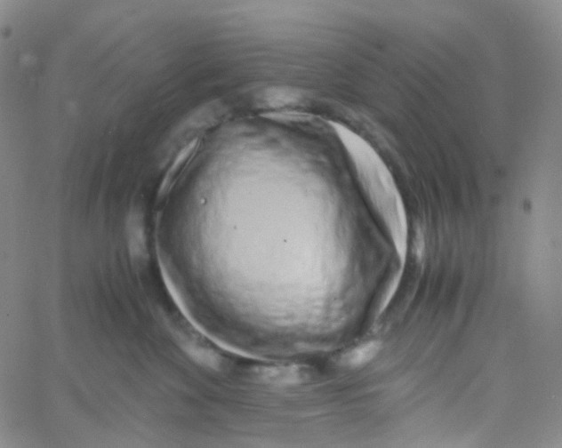 X0000060770524200512082036