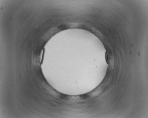 X0000060770525200512082036