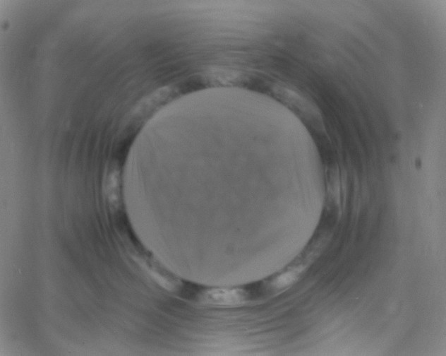 X0000060770526200512082036