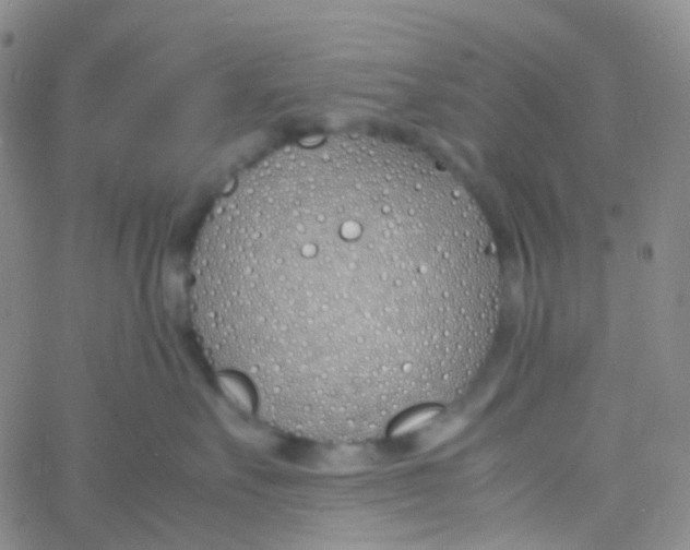 X0000060770527200512082036