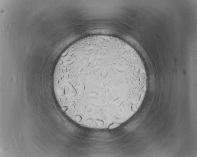 X0000060770529200512082036