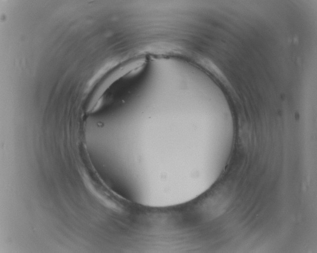 X0000060770530200512082036