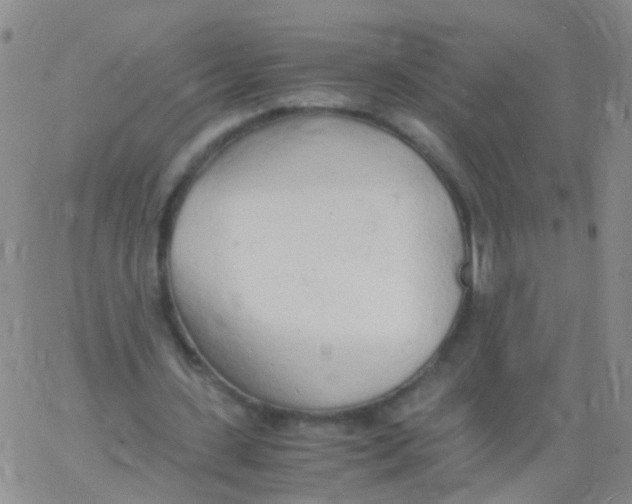 X0000060770531200512082036