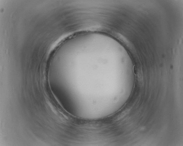 X0000060770532200512082036