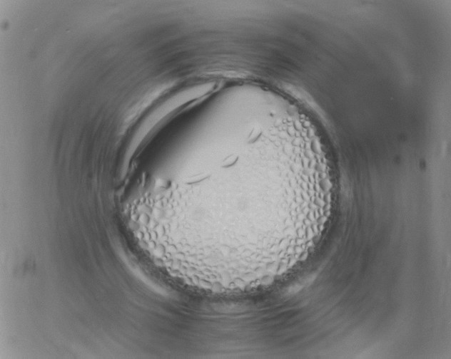 X0000060770533200512082036