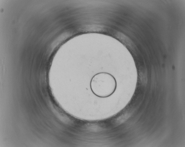 X0000060770534200512082036