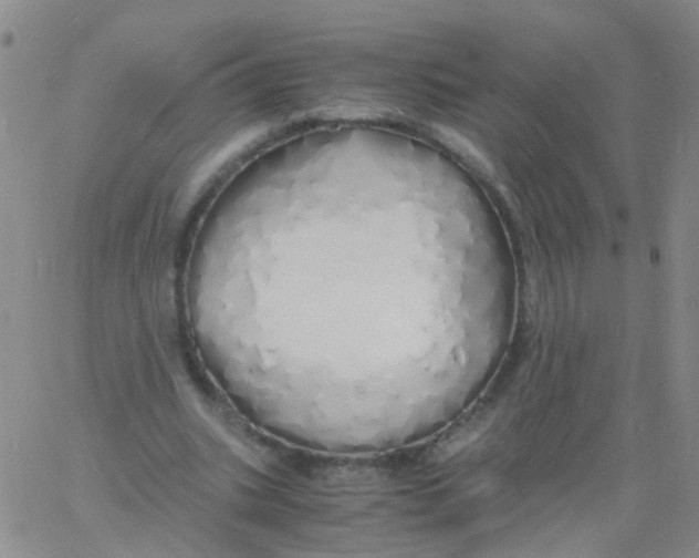 X0000060770535200512082036