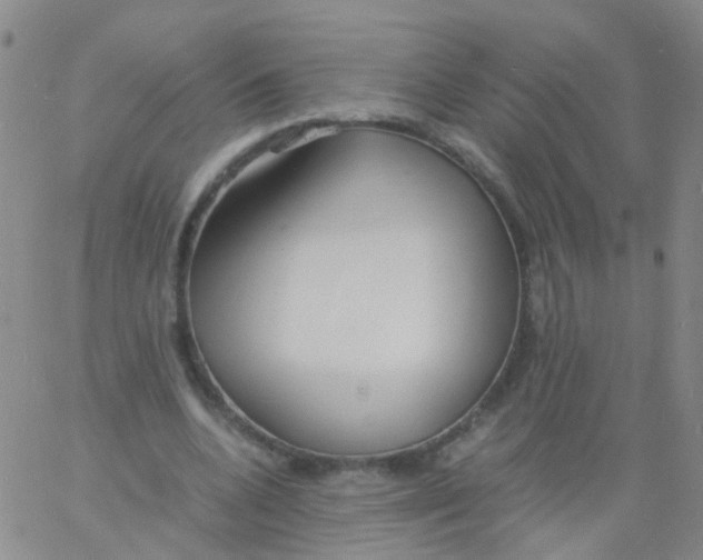 X0000060770536200512082036