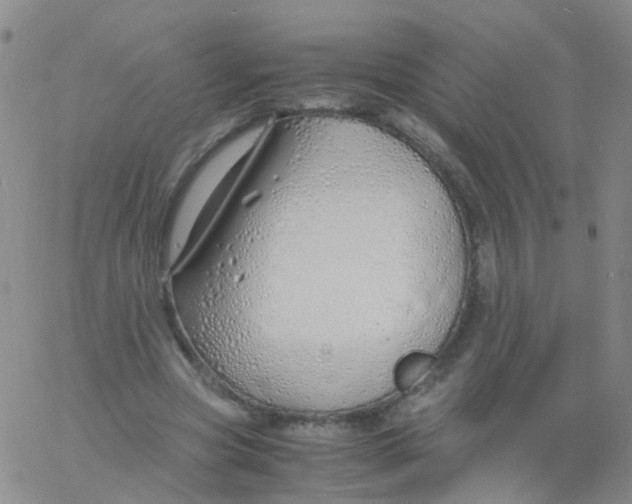 X0000060770537200512082036