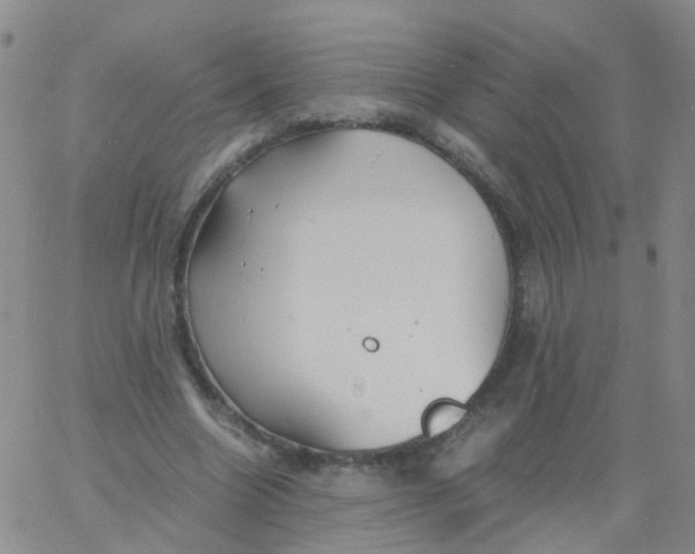 X0000060770538200512082036