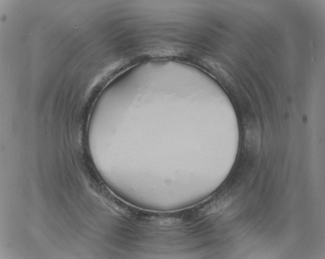 X0000060770539200512082036