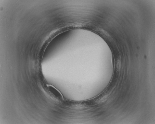 X0000060770540200512082036