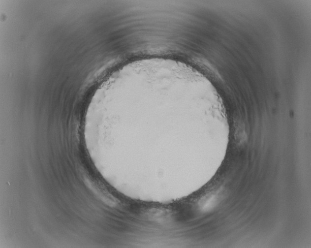 X0000060770542200512082036