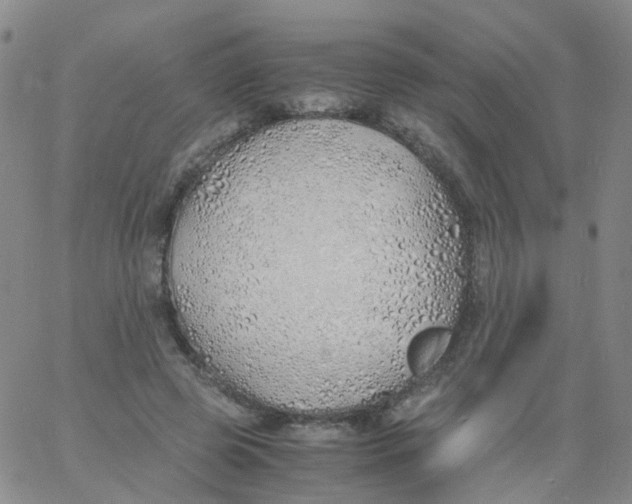 X0000060770545200512082036