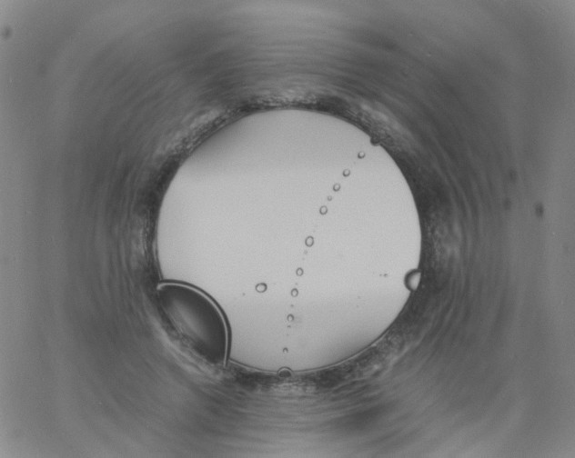 X0000060770546200512082036