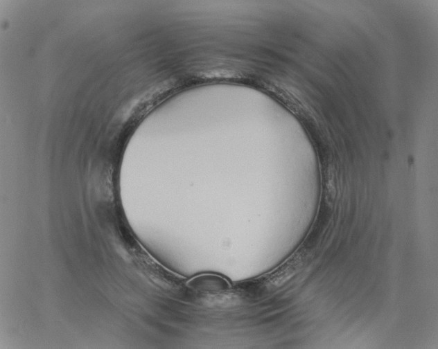 X0000060770547200512082036