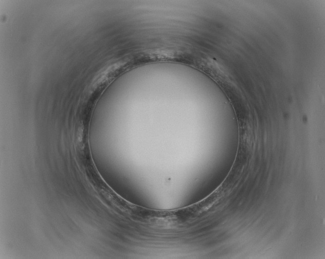 X0000060770548200512082036