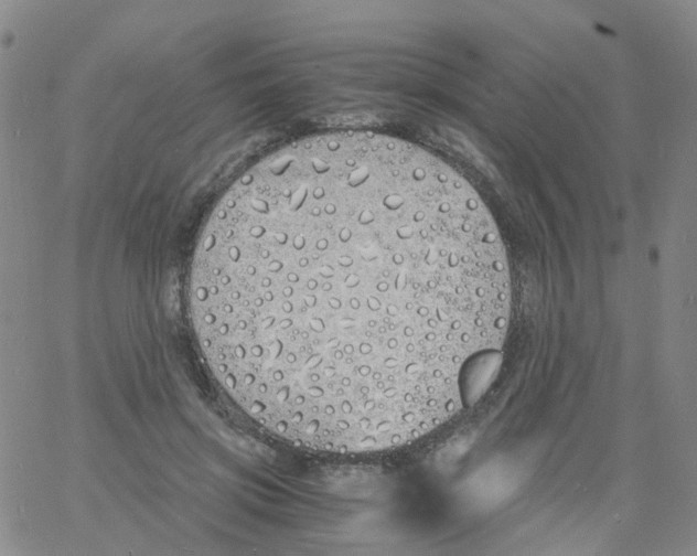 X0000060770549200512082036