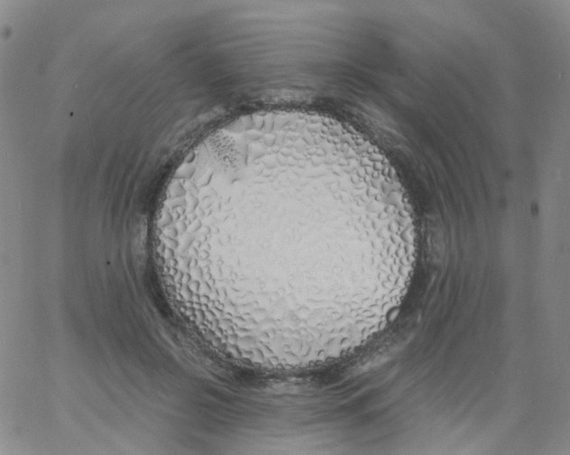 X0000060770550200512082036