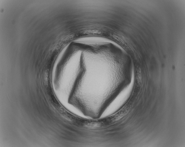 X0000060770551200512082036