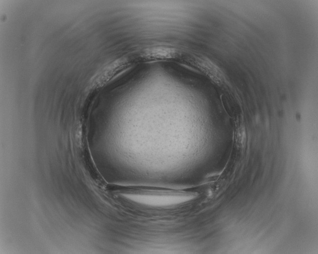 X0000060770552200512082036