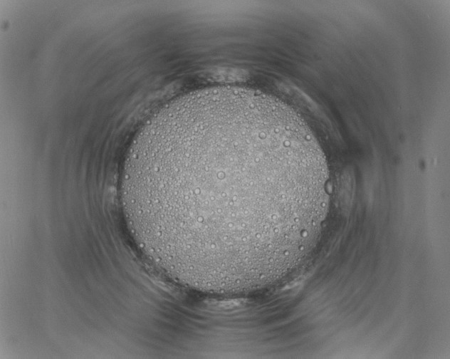 X0000060770553200512082036