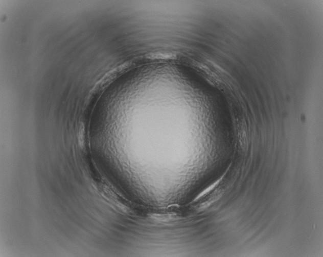 X0000060770556200512082036