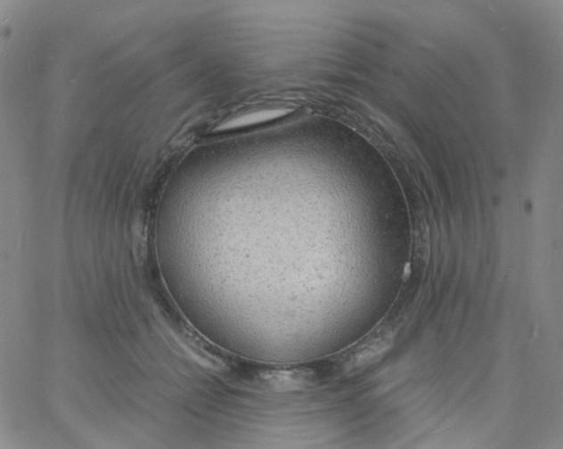 X0000060770558200512082036