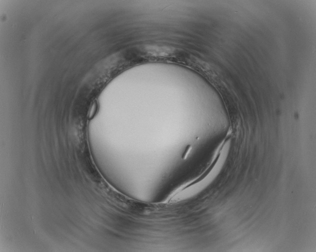 X0000060770559200512082036