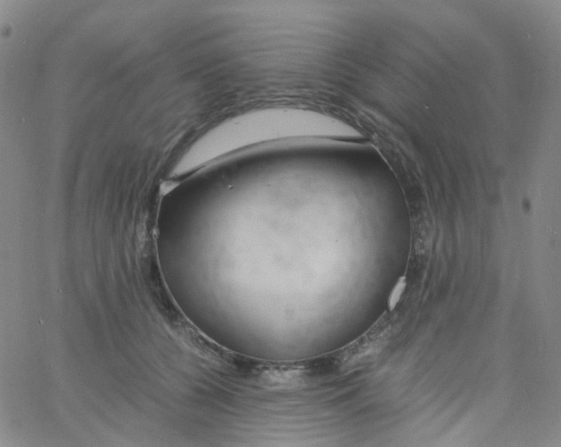 X0000060770560200512082036