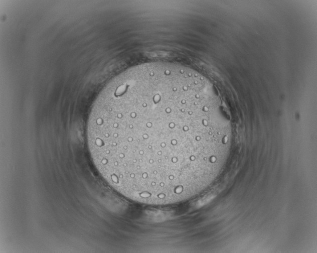 X0000060770561200512082036