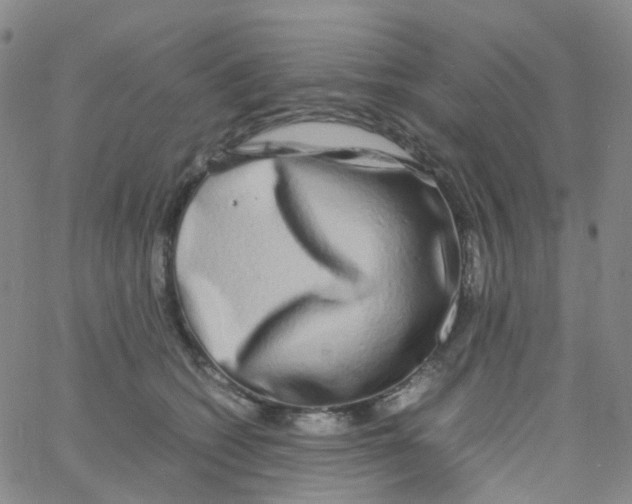 X0000060770562200512082036