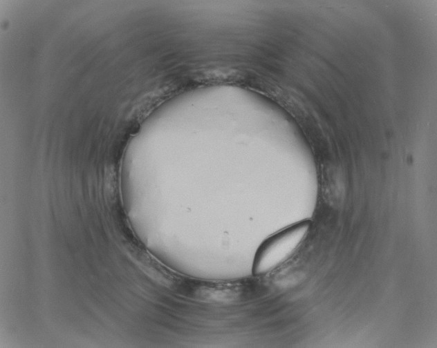 X0000060770563200512082036