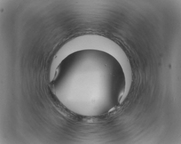 X0000060770564200512082036