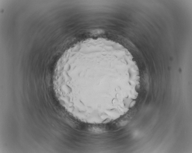 X0000060770565200512082036