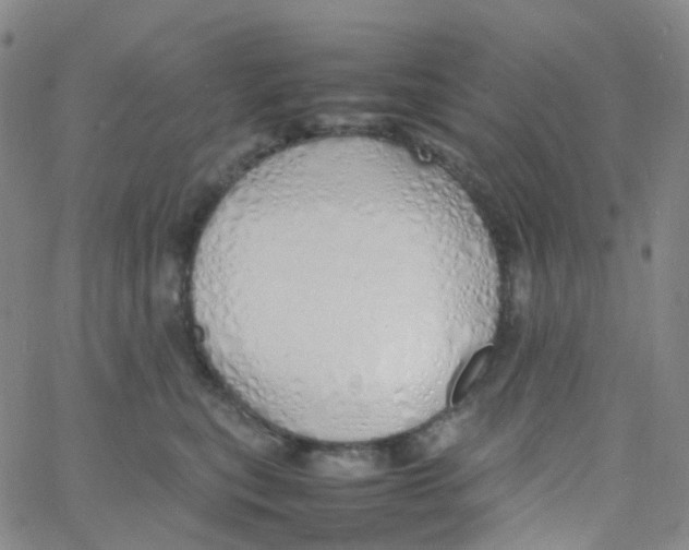 X0000060770567200512082036