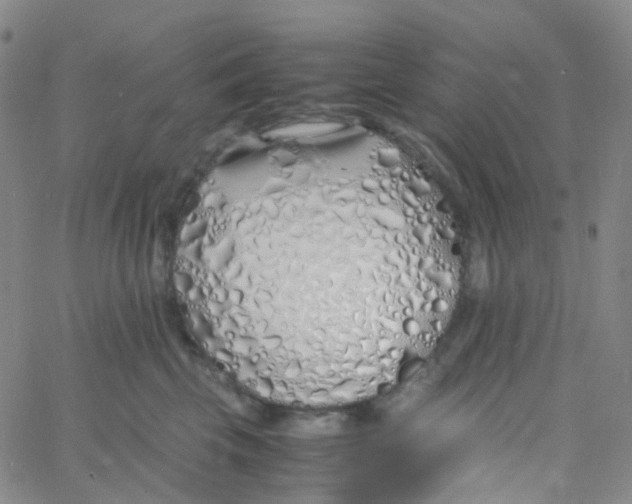 X0000060770569200512082036