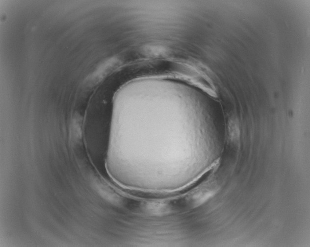 X0000060770570200512082036