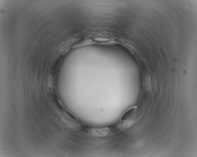 X0000060770571200512082036