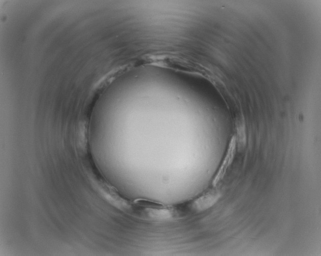 X0000060770572200512082036