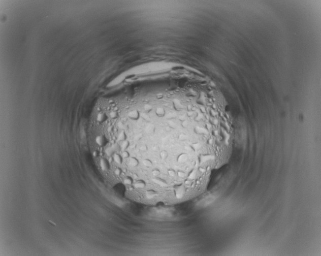 X0000060770573200512082036