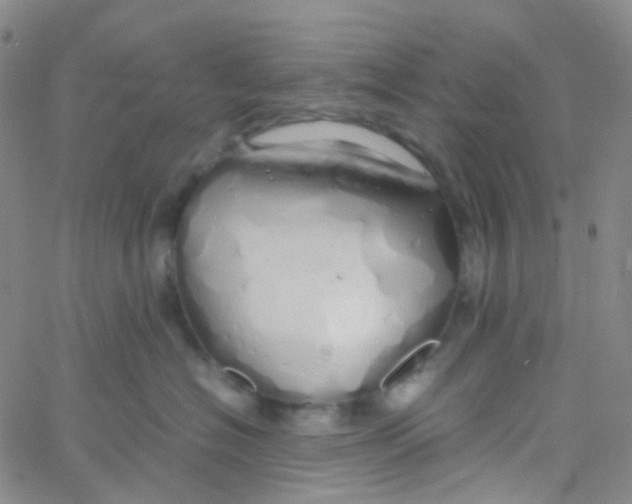 X0000060770574200512082036