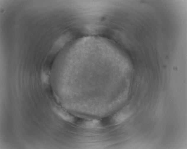 X0000060770576200512082036